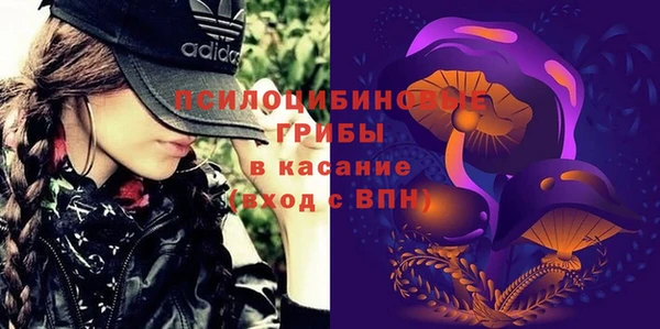 меф Алексин