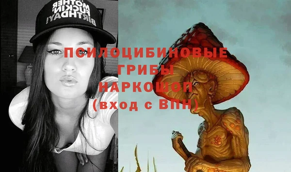 меф Алексин